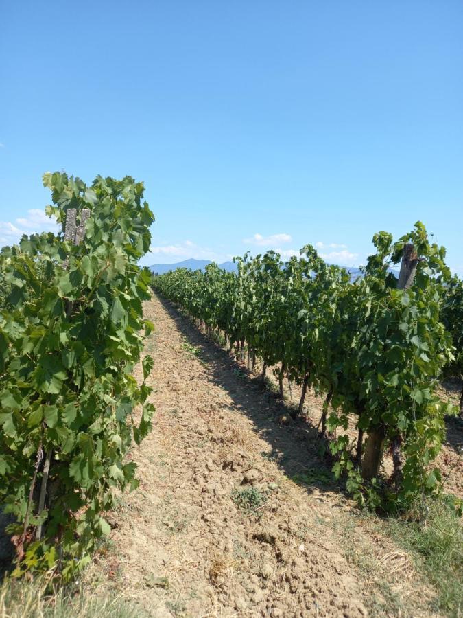 La Quiete Tra Le Vigne Tuscany 콜레살베티 외부 사진