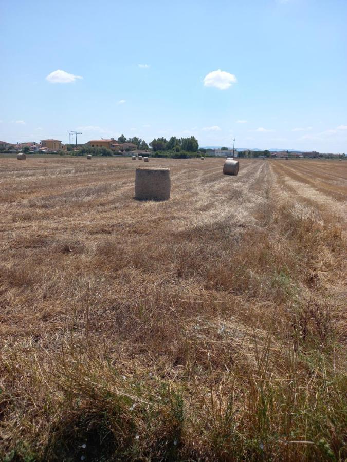 La Quiete Tra Le Vigne Tuscany 콜레살베티 외부 사진