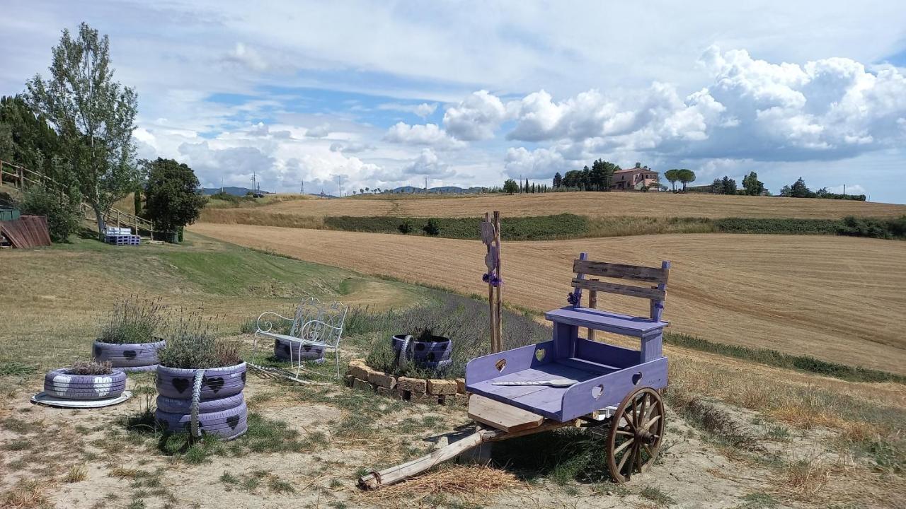 La Quiete Tra Le Vigne Tuscany 콜레살베티 외부 사진