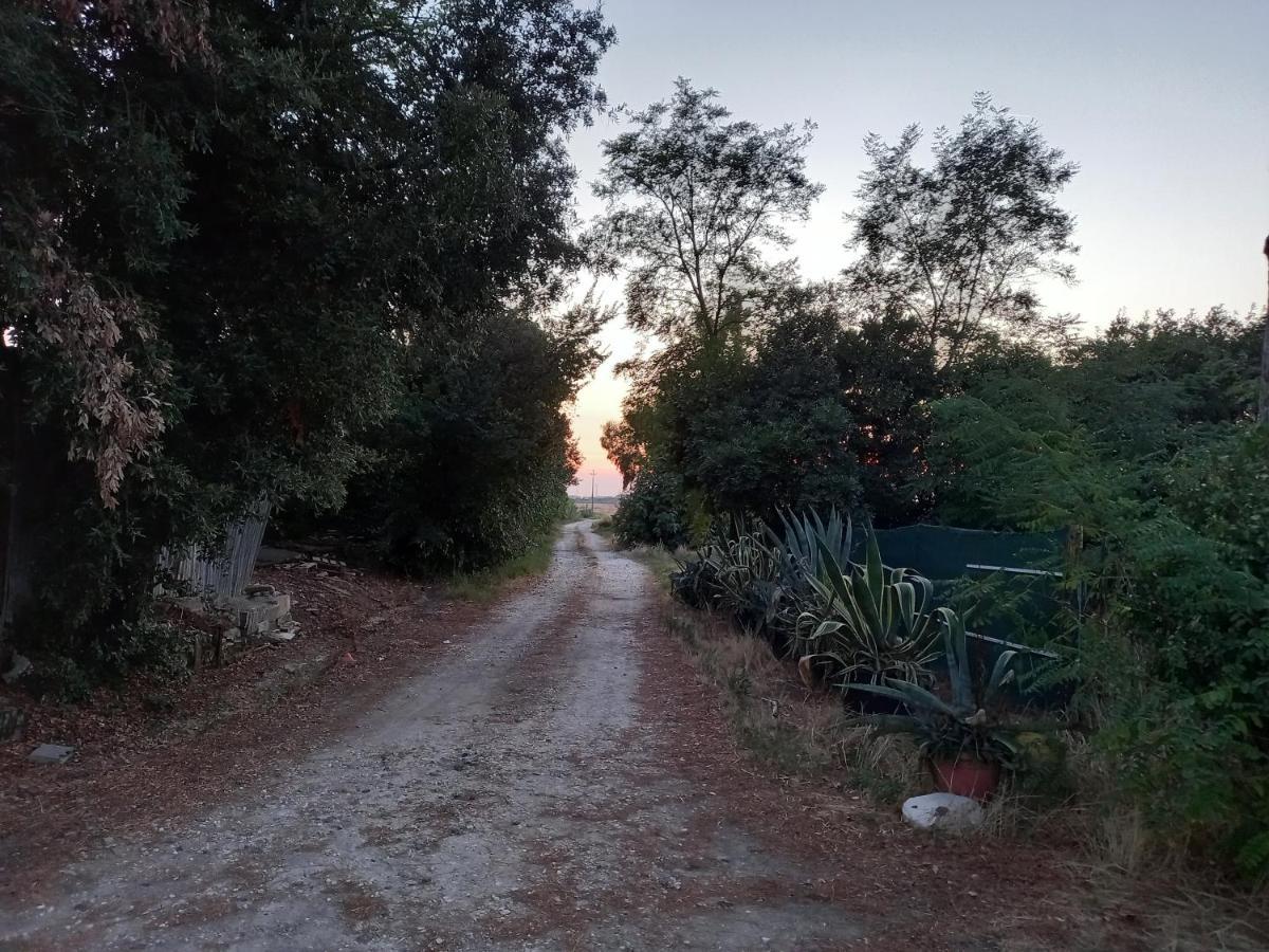 La Quiete Tra Le Vigne Tuscany 콜레살베티 외부 사진