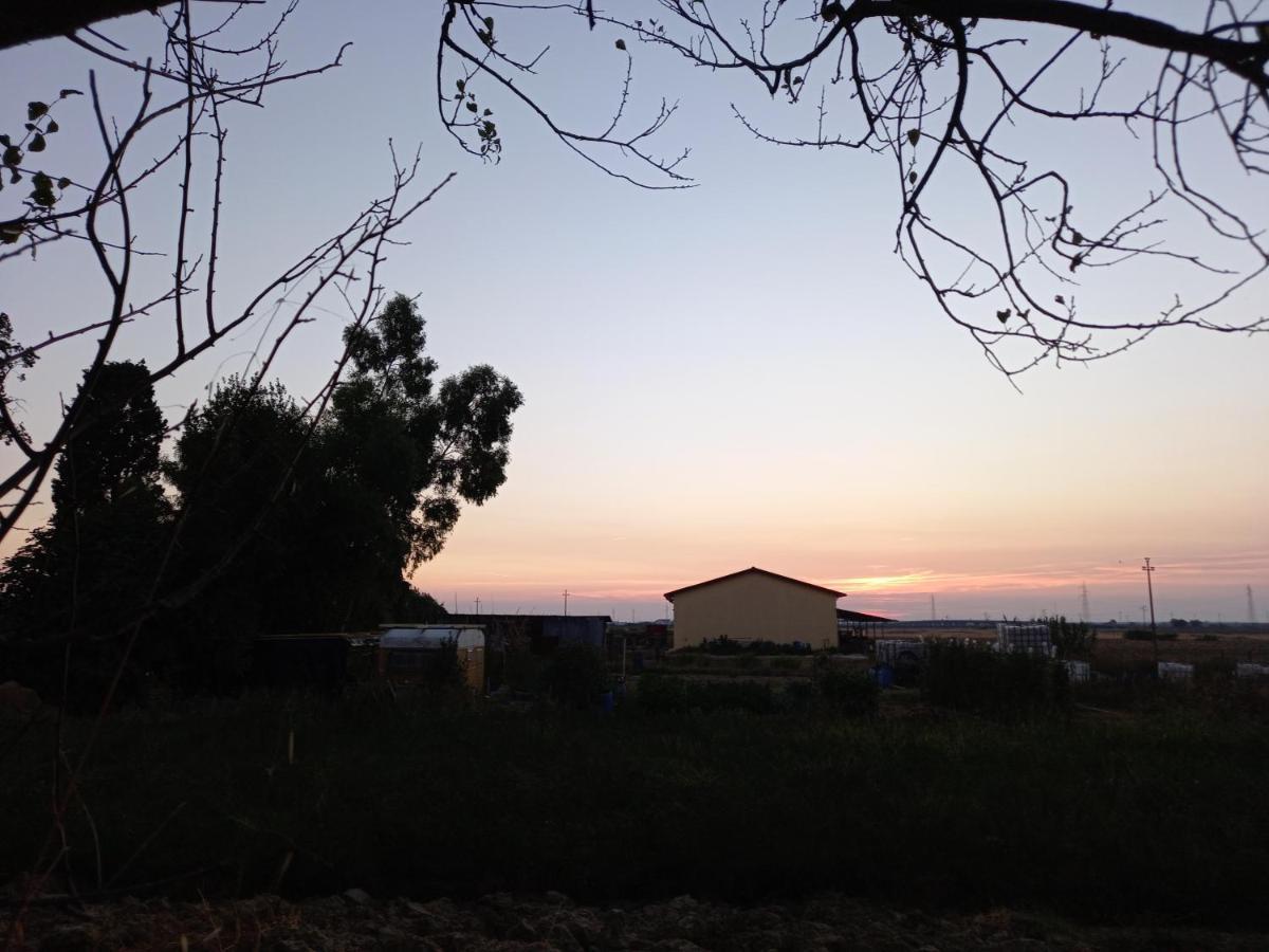 La Quiete Tra Le Vigne Tuscany 콜레살베티 외부 사진