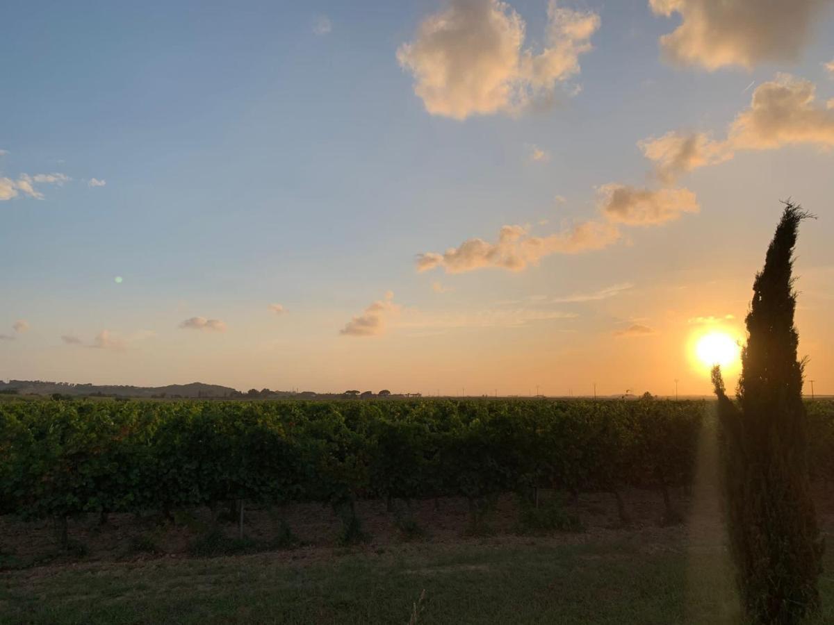 La Quiete Tra Le Vigne Tuscany 콜레살베티 외부 사진
