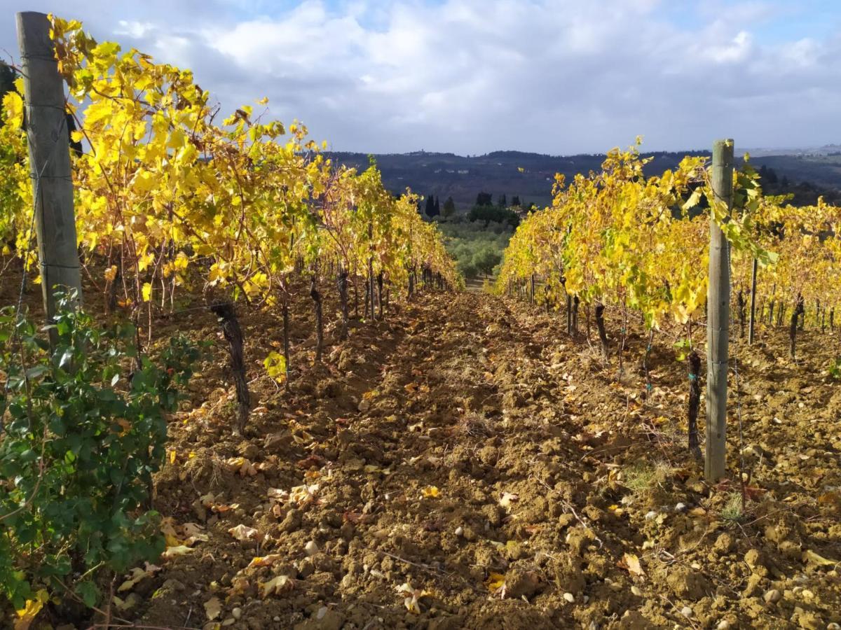 La Quiete Tra Le Vigne Tuscany 콜레살베티 외부 사진