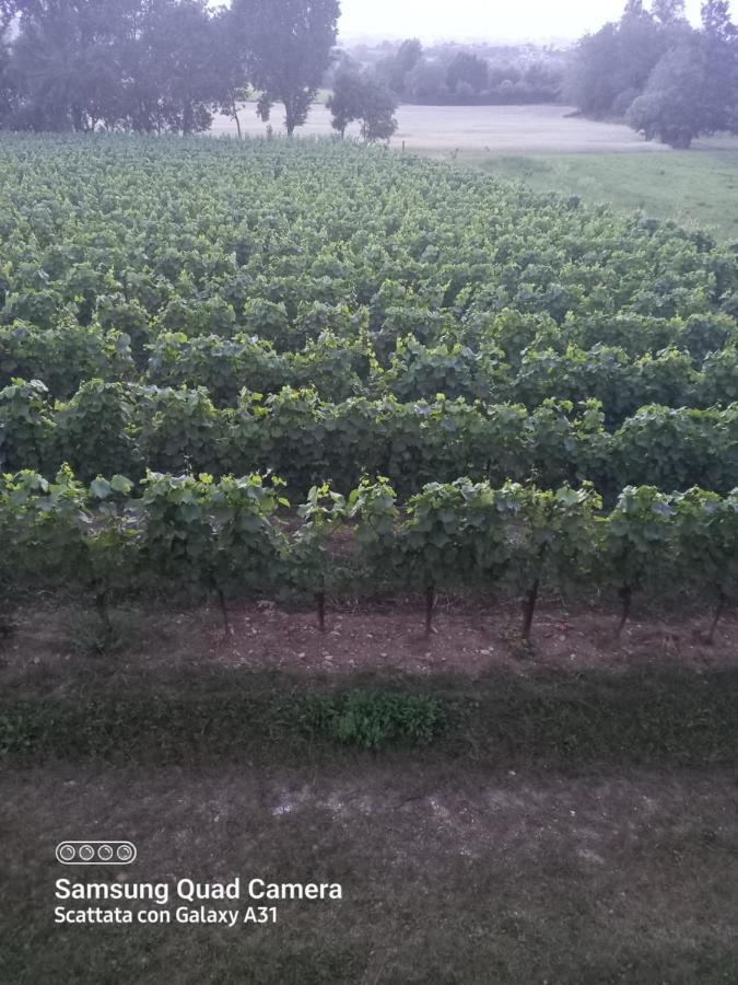 La Quiete Tra Le Vigne Tuscany 콜레살베티 외부 사진